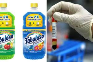 bacteria fabuloso.jpg