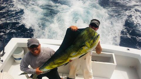 huge mahi mahi