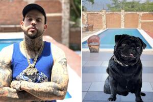 El 'post' salido desde la cuenta de  'El Gordo' Aguilar, mascota de Pepe, fue eliminada horas después de que fuera interpretada por muchos como supuesta burla hacia Emiliano Aguilar, quien ha criticado recientes declaraciones de su padre.