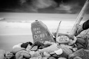 Tumba de Dobby en Freshwater Beach, en Gales (2).jpg
