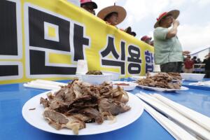 South Korea Dog Meat