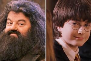 hagrid-harry-potter-sonriendo