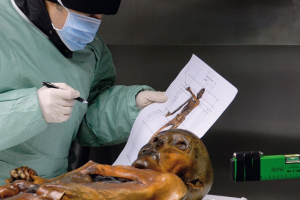 Ötzi_G14.png