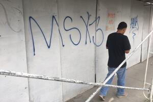 Parques de la MS-13 en Los Ángeles