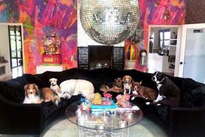 Miley Cyrus pierde su casa en Malibú