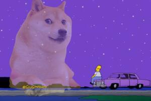 kabosu_meme_dog (1).jpg