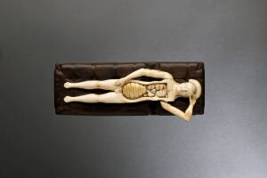 figura1.jpg