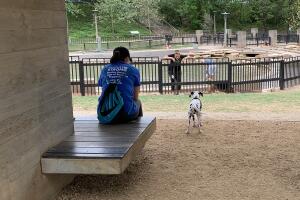 PERROS GALERIA/14-PERRO.jpg