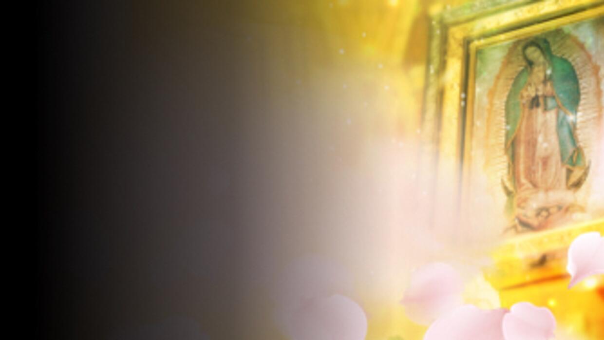 La Rosa De Guadalupe La Novela La Rosa de Guadalupe capítulo Promesa de amor | La Rosa de Guadalupe |  Series La Rosa de Guadalupe | Univision