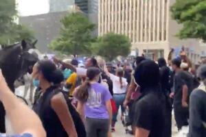 Policia montada 8.jpg