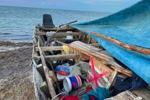 balsa interior mayo 31