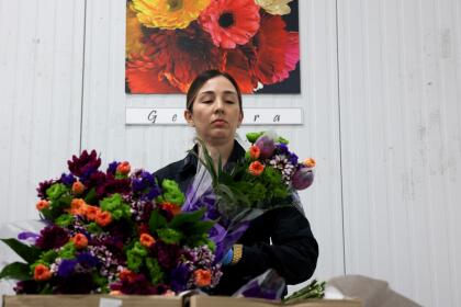 MIAMI, FLORIDA - FEBRUARY 12: Shirley Silva, U.S. Customs and Border Protection Agriculture Specialist, inspects flowers for foreign pests or diseases in the FedEx Cargo hub at Miami International Airport on February 12, 2025 in Miami, Florida. FedEx transfers millions of fresh flowers through the hub for Valentine's season by increasing air capacity from Colombia and Ecuador. They will transport over 2.2 million pounds of flowers from these countries in February. (Photo by Joe Raedle/Getty Images)