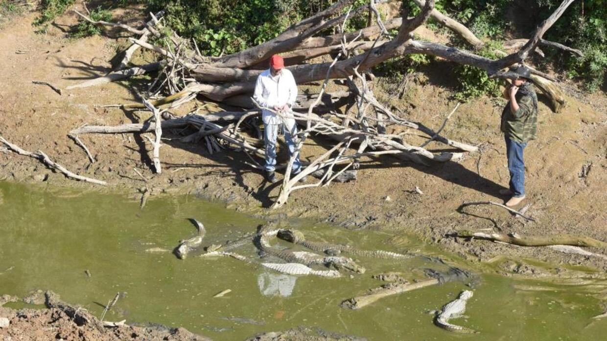 Argentina y Paraguay se unen contra la devastadora sequía ...