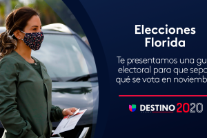 Guía de votación.png