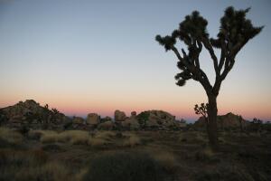 National Parks Threatened As Government Shutdown Continues