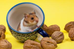 thinkstockphotos-178560496.jpg