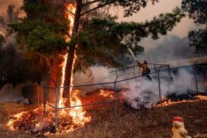 Trabajadores y bomberos de Cal Fire batallan para proteger la planta de tratamiento de agua de St. Helena del incendio Glass en Napa Valley, California