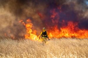 bombero-incendio-forestal-pastizal-fuego.jpg