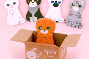 1584_kitty_house_memo_large.jpg