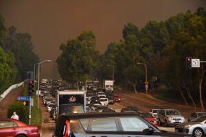 Incendios forestales acaban con cientos de autos