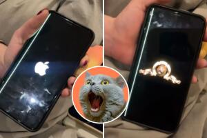 Joven compra celular en Mercado Libre y nadie puede creer cómo prende