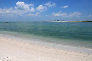 View from Caladesi Island