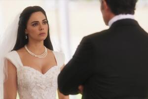 amanecer-novela-boda-alba-leonel-perlas.jpg