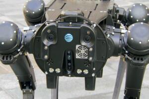 Perro robot Dallas