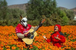 clubes dia de muertos.jpg