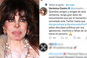 Con este tuit, Verónica Castro anunció su aparente despedida "temporal" de Twitter.