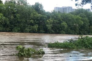 RIO SCHUKLIL /IMG_4555.JPG