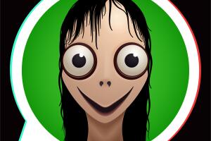 momo-desafio.jpg