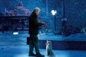 hachi-a-dogs-tale.jpg