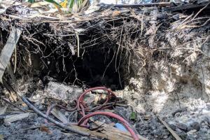 TUNEL PEMBROKE PINES
