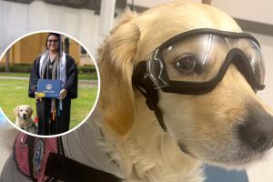 Rollins College brindó un entorno inclusivo y de apoyo, permitiendo que Cecilia y su perro de servicio Canela prosperaran durante su carrera académica. 