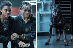 thumb asi se grabó el ataque del perro doberman a billie resident evil netflix.jpg
