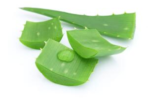 Miel-y-aloe-para-tratar-las-quemaduras-caseras-3.jpg