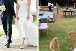 boda_wedding_planner.jpg