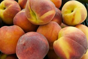 Apricots_peaches.JPG