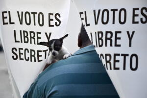 elecciones Edomex