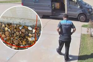 Orinar público Texas denuncia repartidor Amazon