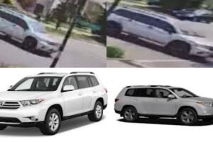 hit and run Chicago.jpg