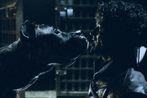 ramsay-bolton.jpg