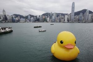 rubber-duck.jpg