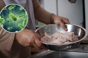 Brote de salmonela en restaurante mexicano afecta a 10 personas