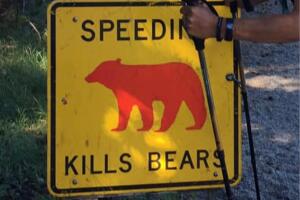 signkillsbear.jpg