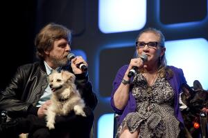 mark-hamill-carrie-fisher-perros.jpg
