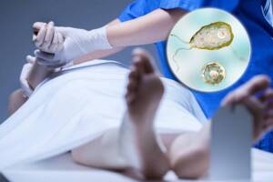  
Ameba come cerebros: Calor aumenta el riesgo de contagio