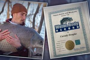 pez búfalo boca chica