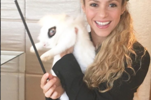 shakira maluma 